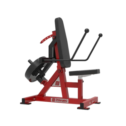 Dynamic Tricep Kick Back